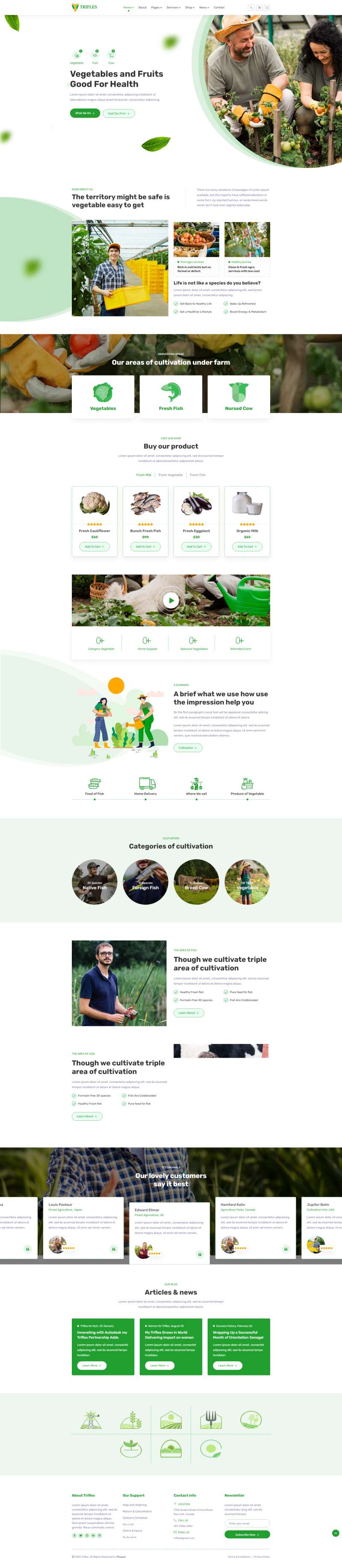 农业网页布局，绿色食物网页制作模板