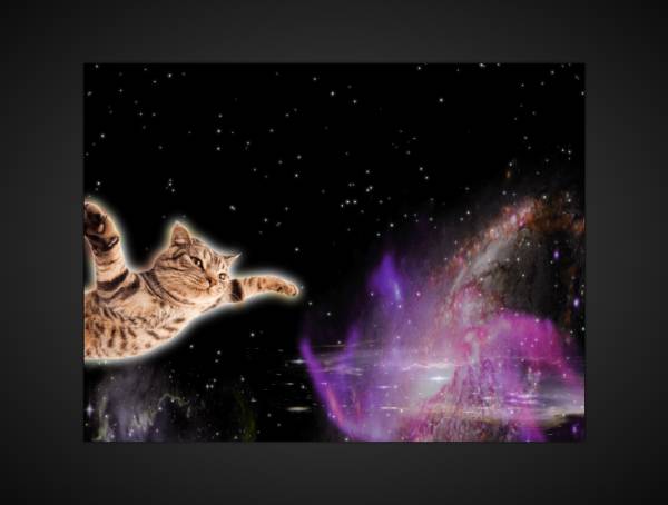 猫咪创意设计，太空动态图片素材