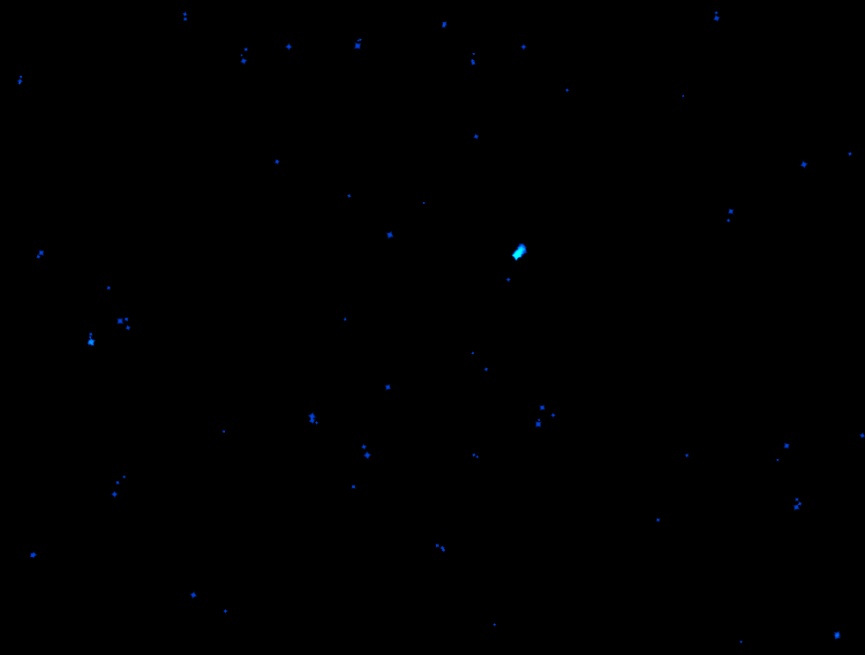 星塵動畫制作，鼠標跟隨星星閃爍素材