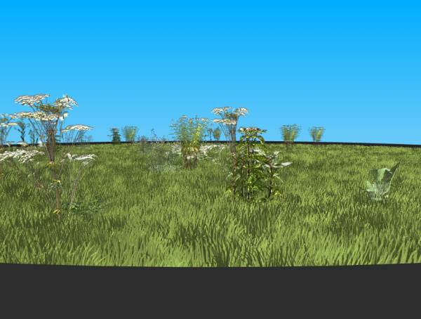 草地3D建模制作，渲染效果图素材