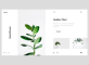 响应式网页设计，植物网页模板素材