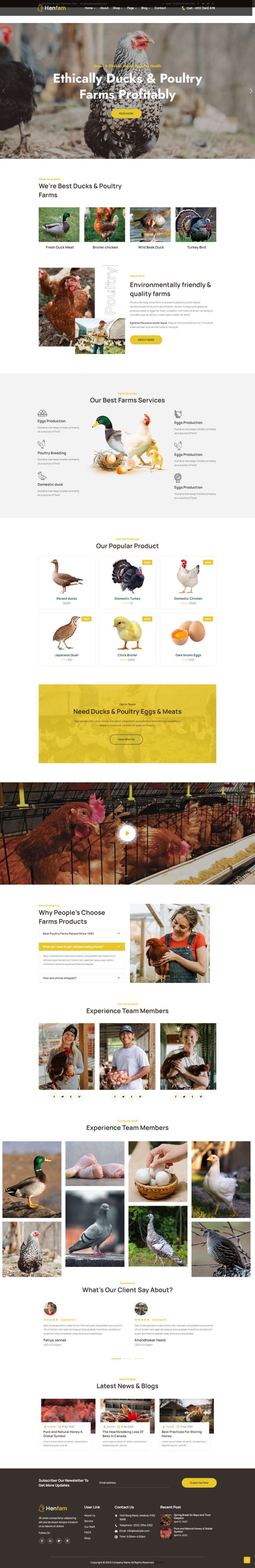 html5网页制作，响应式禽类养殖网页模板