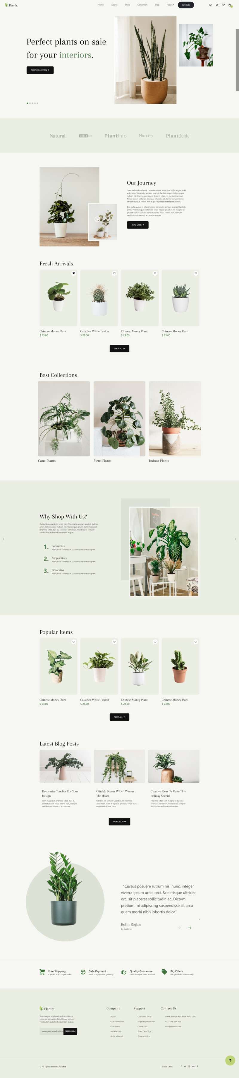 网页制作与设计，植物网站源代码模板