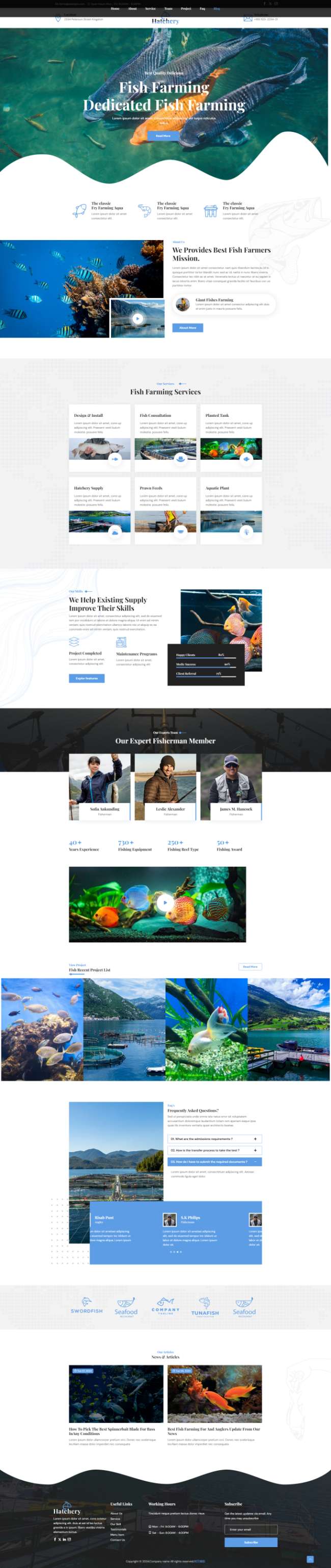 公司网站免费自建，养鱼网站界面设计模板