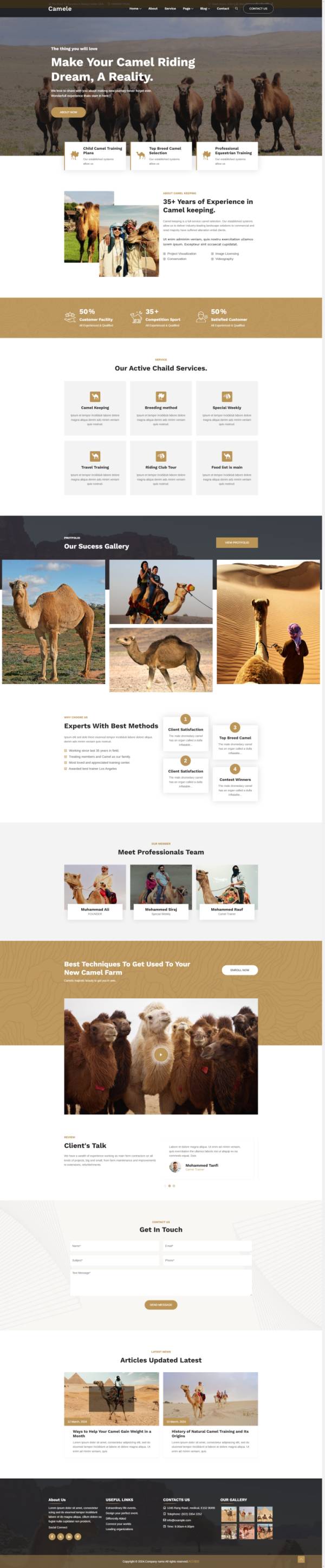 大气骆驼宣传服务网页设计优秀案例模板
