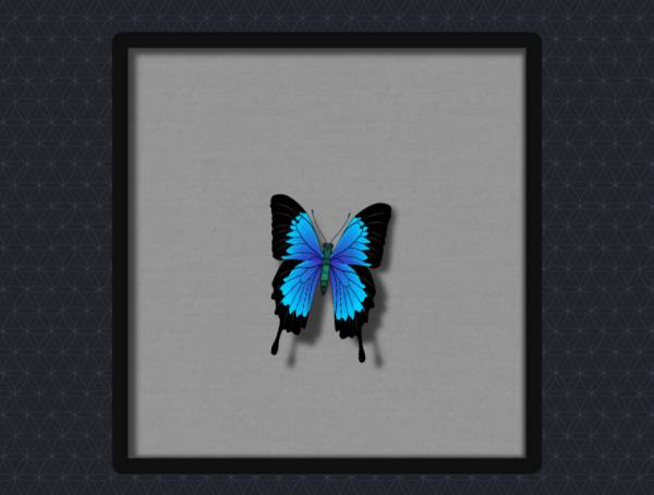 高清动态蝴蝶标本创意制作图片素材