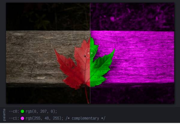 色調分隔線動圖選擇與調配模板