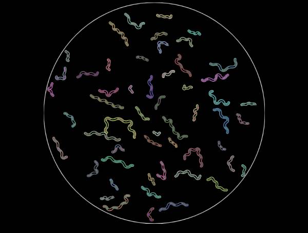 可愛生物細菌模型動態圖像