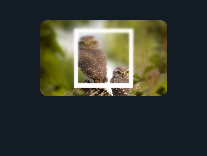 圖片css懸停效果遮罩效果案例