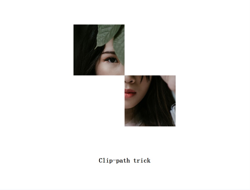 svg路径html图像映射动画素材