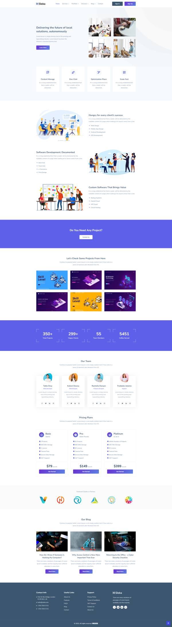 軟件服務(wù)外包公司網(wǎng)站建設(shè)模板