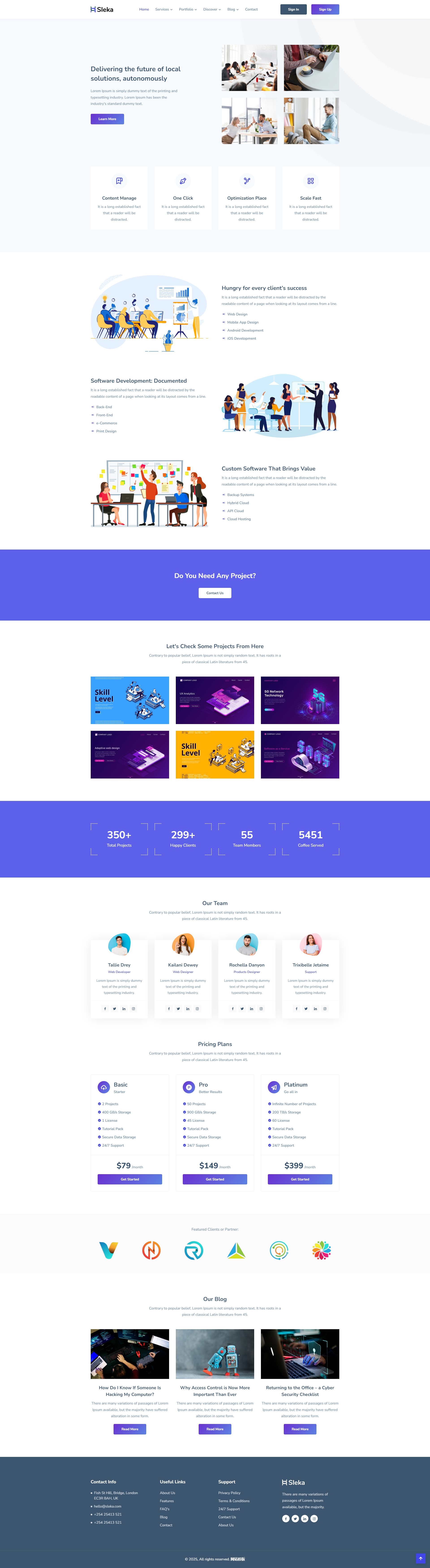 软件服务外包公司网站建设模板