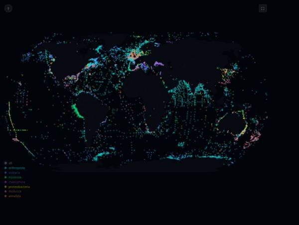 唯美氛围感生物发光特效素材