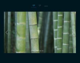 HTML5 SVG响应式窗帘动画图片幻灯片切换特效