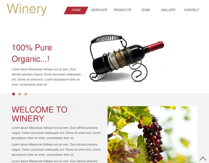 国外高档葡萄酒网站展示单页模板