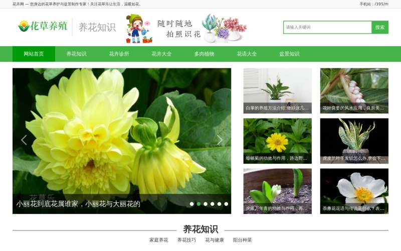 养花盆栽资讯门户网站织梦模板