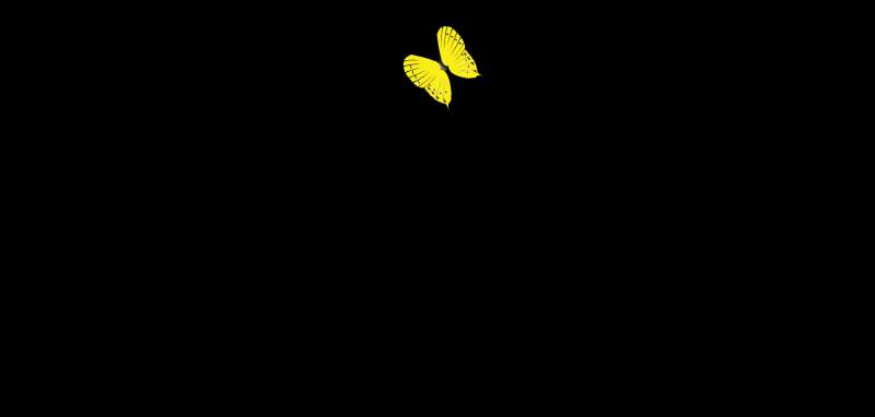 空中飞着的蝴蝶动画flash素材下载