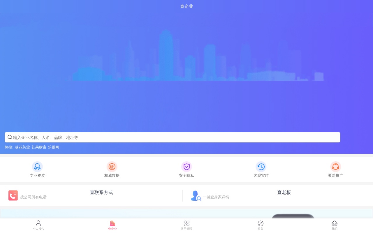 手機(jī)查企業(yè)列表頁面模板