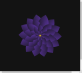 css3绘制紫色的花瓣动画特效