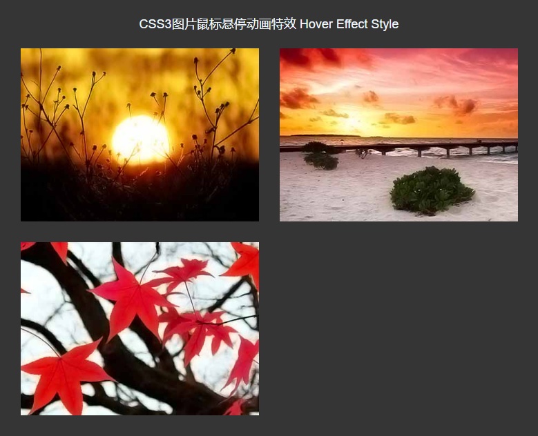 css3列表圖片懸停動(dòng)畫(huà)特效