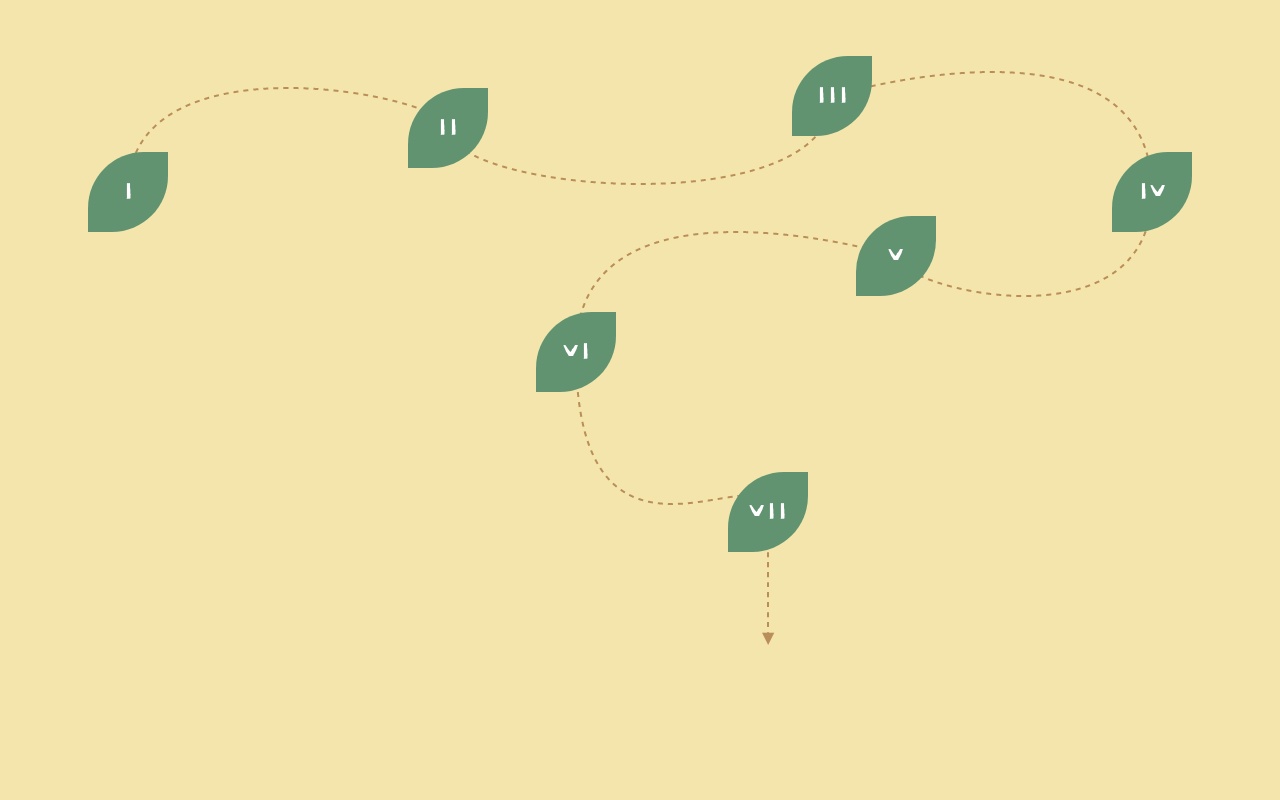 css3 svg葉子虛線布局特效