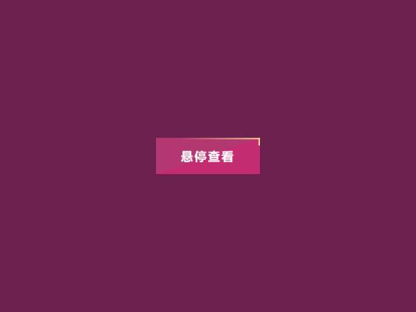 创意的按钮边框css3动画