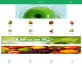 绿色的蔬菜水果手机微信商城模板源码