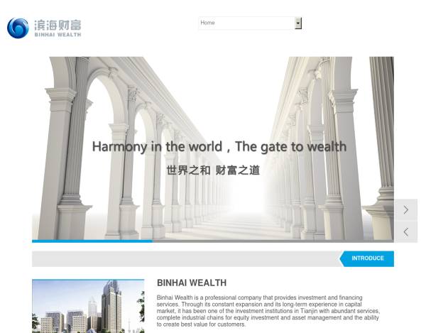 大气的国外金融公司网站模板html下载