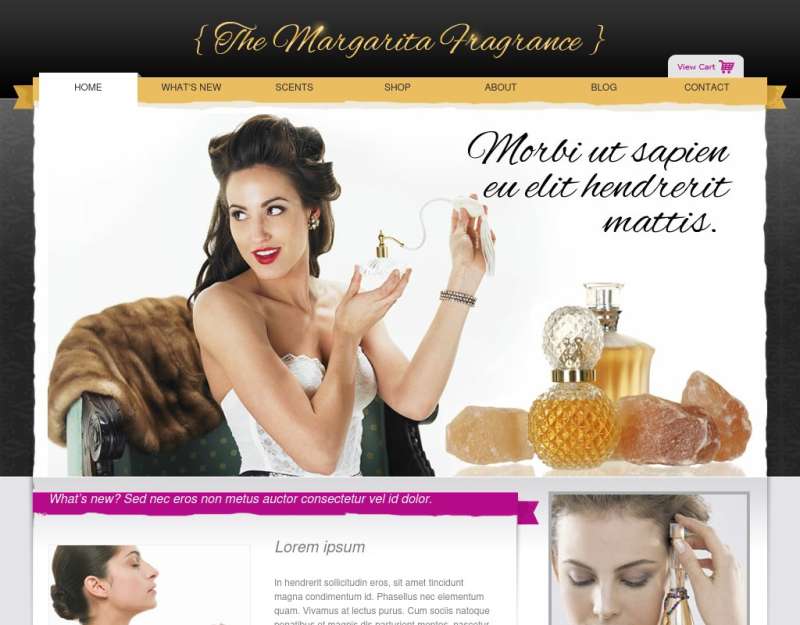 国外网上购物女性化妆品商城模板下载html