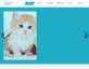 静态的猫咪宠物网站模板html下载