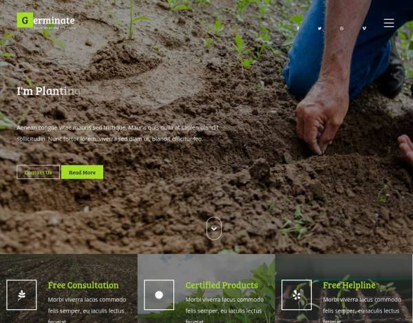 绿色宽屏的蔬菜水果农业种植网站模板下载