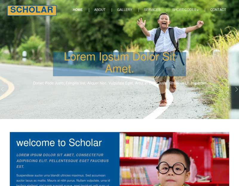实用的儿童教育学校网站静态模板