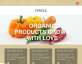 简单的国外蔬菜水果种植生产网页模板