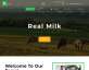 绿色的奶牛养殖场基地介绍网站模板