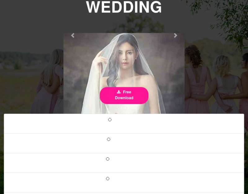 响应式婚纱摄影网站html模板下载