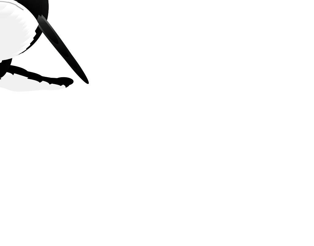 svg+js實現(xiàn)的鯊魚動畫網(wǎng)頁素材
