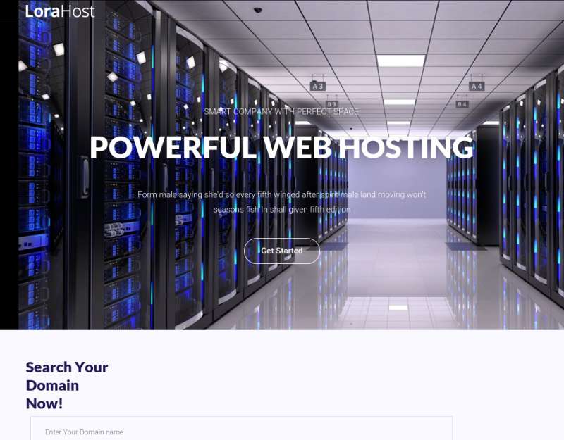 紫色的虚拟主机域名托管服务网站模板