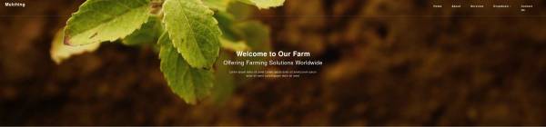 干净简洁的农场种植农业网站html模板