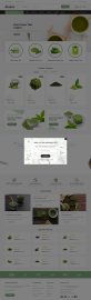 绿色小清新html绿茶商城网站模板