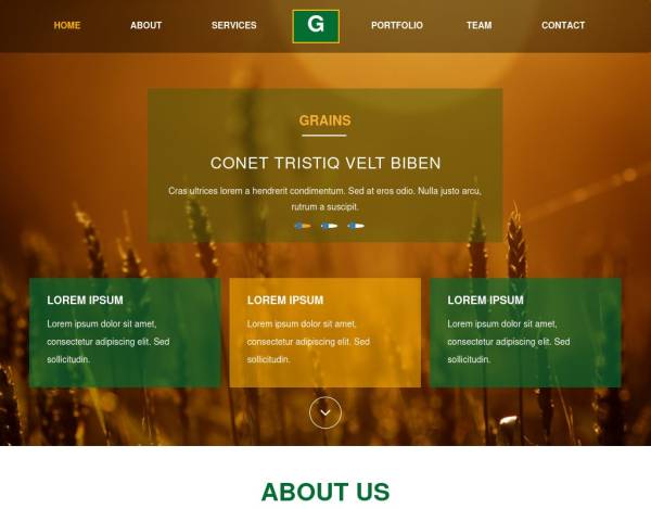 HTML简约漂亮的谷物种植农业网站模板