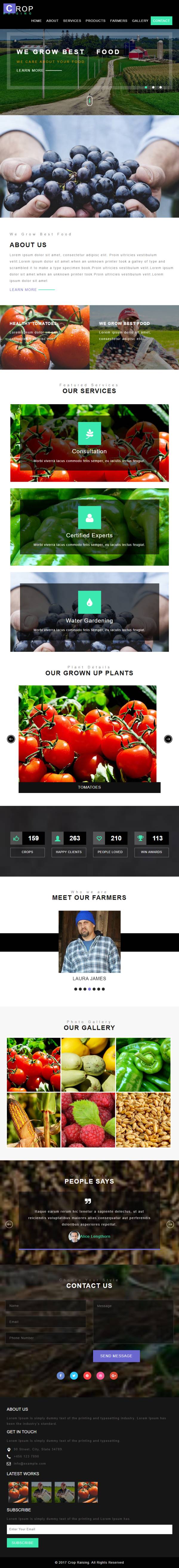 漂亮的HTML有机果蔬种植网站模板