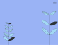 植物动图素材，植物生长动画设计素材