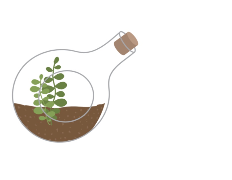 svg動(dòng)畫(huà)代碼，植物路徑效果圖素材