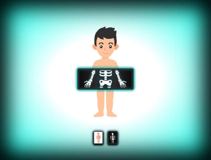医学教学模型制作，X射线卡通动画效果图下载