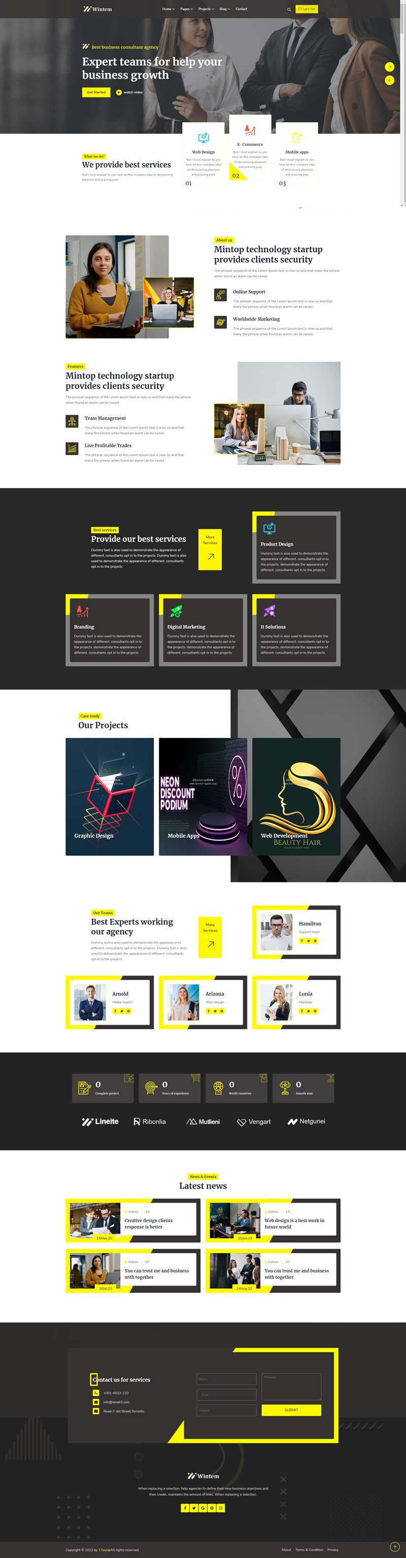 公司网站搭建，黄色简约企业网页设计