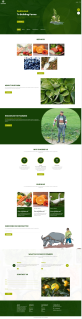 果蔬网页html，农场直供网页设计方案下载