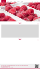 红色的水果销售加盟公司网站模板