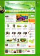 绿色的茶叶公司网站模板psd素材下载