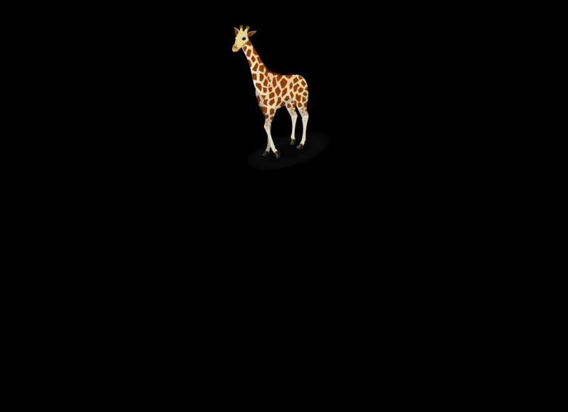 长颈鹿走路透明flash动画素材