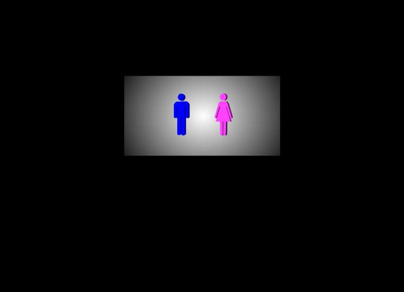 旋转的男女厕所图标flash动画素材